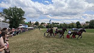 Tempo auch hinter dem Zelt: Pferde und Reiter treten bei Pferderennen auf der Rennwiese an. Tempo auch hinter dem Zelt: Pferde und Reiter treten bei Pferderennen auf der Rennwiese an.