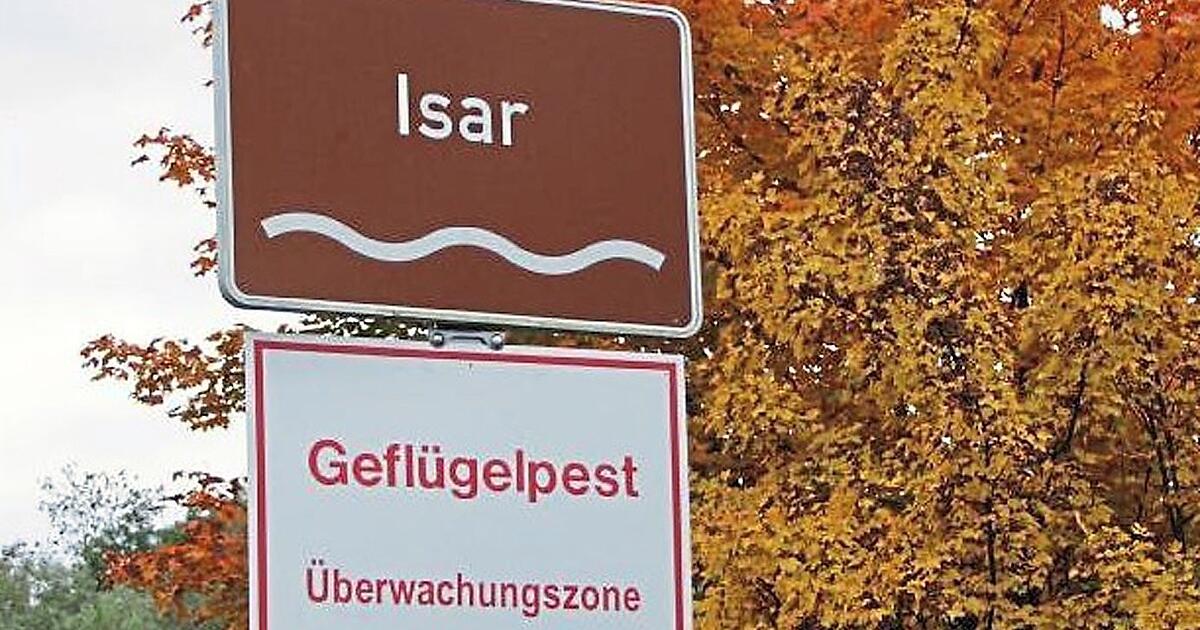 125x125 www.idowa.de