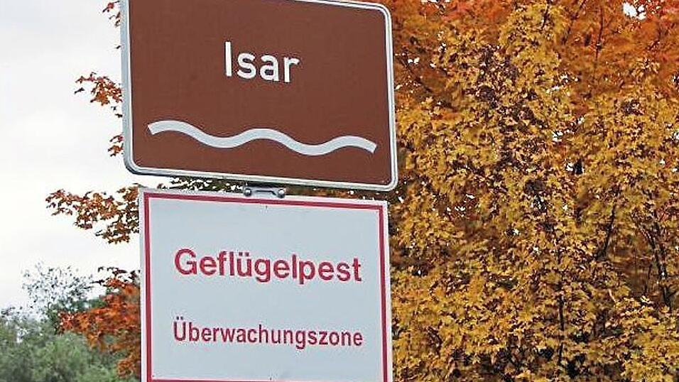 Bis 18. November gelten im Landkreis Dingolfing-Landau die Maßnahmen gegen die Tierseuche. Bis 18. November gelten im Landkreis Dingolfing-Landau die Maßnahmen gegen die Tierseuche.