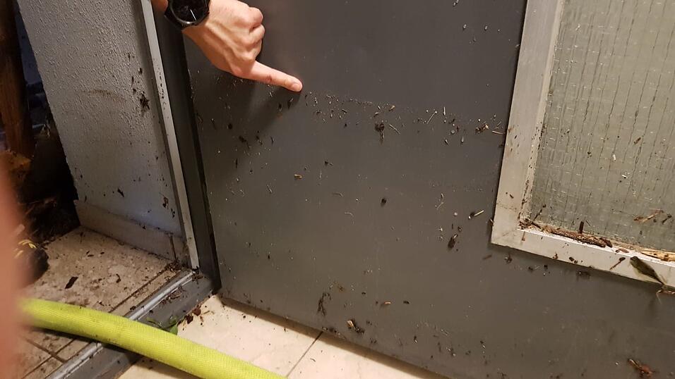 Rund 50 Eins&auml;tze in der Nacht auf Mittwoch betrafen vollgelaufene Keller.