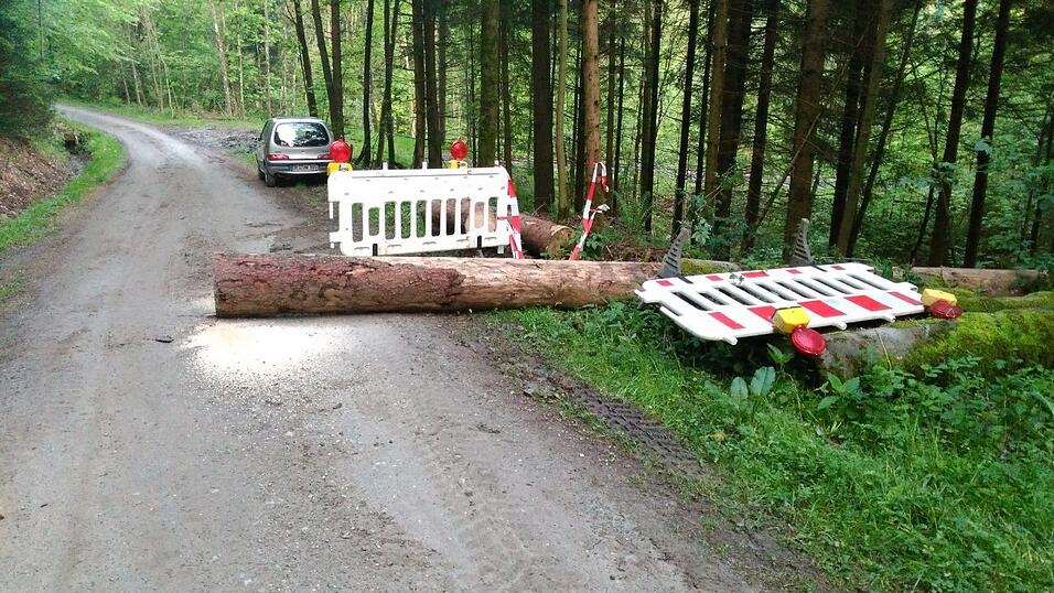 Auch mit Bäumen versuchte man, die Autofahrer davon abzuhalten, auf dem Europaradweg zu fahren. Auch mit Bäumen versuchte man, die Autofahrer davon abzuhalten, auf dem Europaradweg zu fahren.