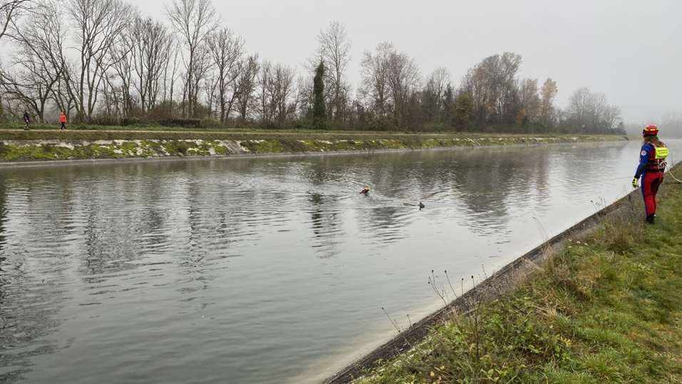 Ein Wasserretter lenkt das Reh im Wasser vom rechten zum linken Ufer, ein zweiter sichert flussabwärts ab. Ein Wasserretter lenkt das Reh im Wasser vom rechten zum linken Ufer, ein zweiter sichert flussabwärts ab.