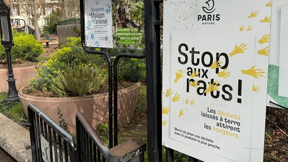 Seit Jahren k&auml;mpft die Stadt Paris gegen die Rattenplage.