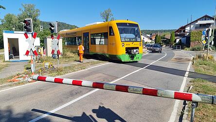 Ein Zug der Oberpfalzbahn f&auml;hrt von Blaibach in Richtung Bad K&ouml;tzting. Links im Bild ist einer der beiden Bahn&uuml;bergangsposten, der die Schranke per Knopfdruck bedient.