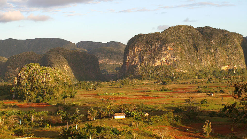 Landaufenthalt in Kuba, Februar 2010. Landaufenthalt in Kuba, Februar 2010.