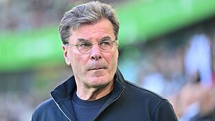 Wolfsburg-Trainer Dieter Hecking.