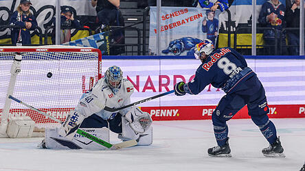 Einen ganz bitteren Abend erlebten Henrik Haukeland, der nach 20 Spielminuten erl&ouml;st wurde, und die Straubing Tigers am vorletzten Spieltag der DEL beim 1:10 in M&uuml;nchen (rechts Nationalst&uuml;rmer Tobias Rieder). H&ouml;her haben die Niederbayern in der DEL nie verloren.