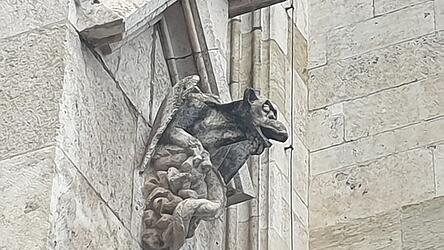 Wasserspeier am Dom. Wasserspeier am Dom.