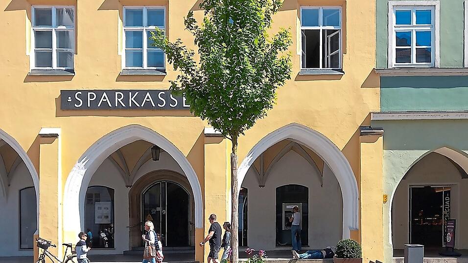 Im Salzstadel wird am Donnerstag die Frage &bdquo;B&auml;ume in der steinernen Stadt - eine L&ouml;sung auch f&uuml;r Landshut?&ldquo; diskutiert.