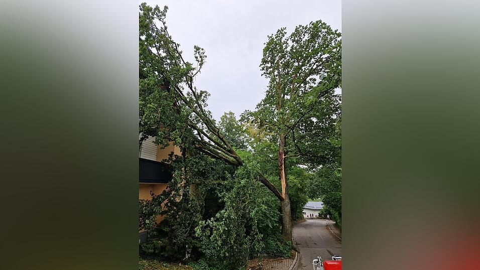 Mehr als 40 Eins&auml;tze hatten die L&ouml;schz&uuml;ge der Landshuter Feuerwehr im Zuge des Unwetters zu absolvieren.