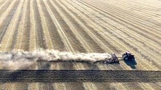Rekordhitze und anhaltender Regenmangel machen den deutschen Landwirten immer größere Sorgen. Rekordhitze und anhaltender Regenmangel machen den deutschen Landwirten immer größere Sorgen.