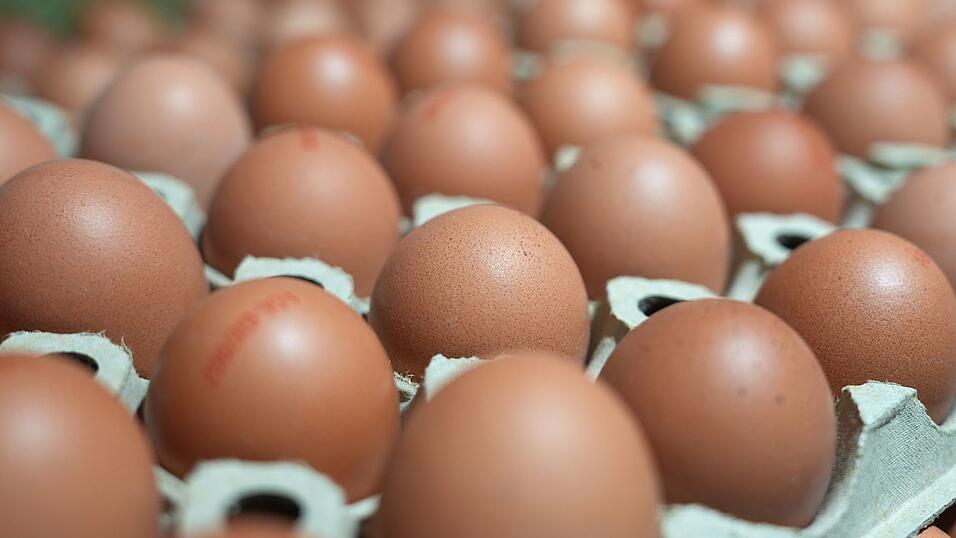 In manchen Lebensmittell&auml;den sind sie gerade Mangelware: Eier. (Symbolbild)