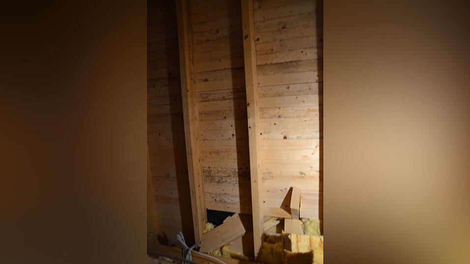 Das gr&ouml;&szlig;te Sorgenkind der Grolls: Unter dem Dach frisst sich mehr und mehr Schimmel durchs Holz. (Foto: Matthias Jell)