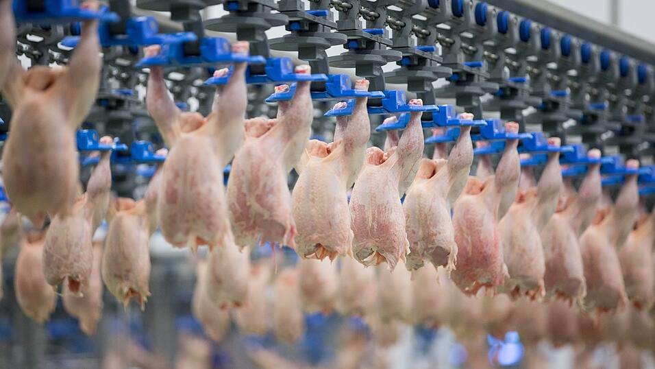 Im Bogener Donautal-Schlachtbetrieb gibt es bereits 83 bestätigte Corona-Fälle unter den Mitarbeitern.