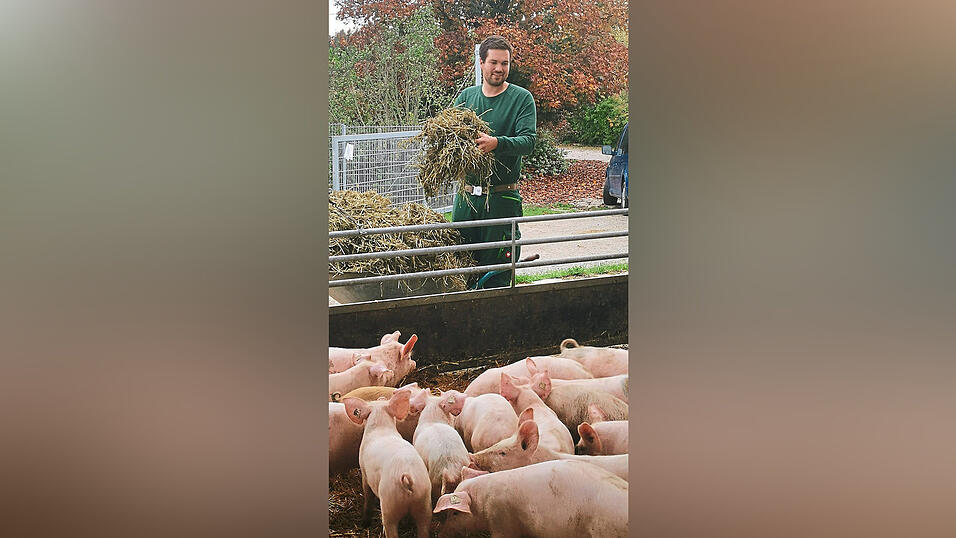 Andreas Brenner bei der Arbeit in seinem Offenfrontstall für Mastschweine. Andreas Brenner bei der Arbeit in seinem Offenfrontstall für Mastschweine.
