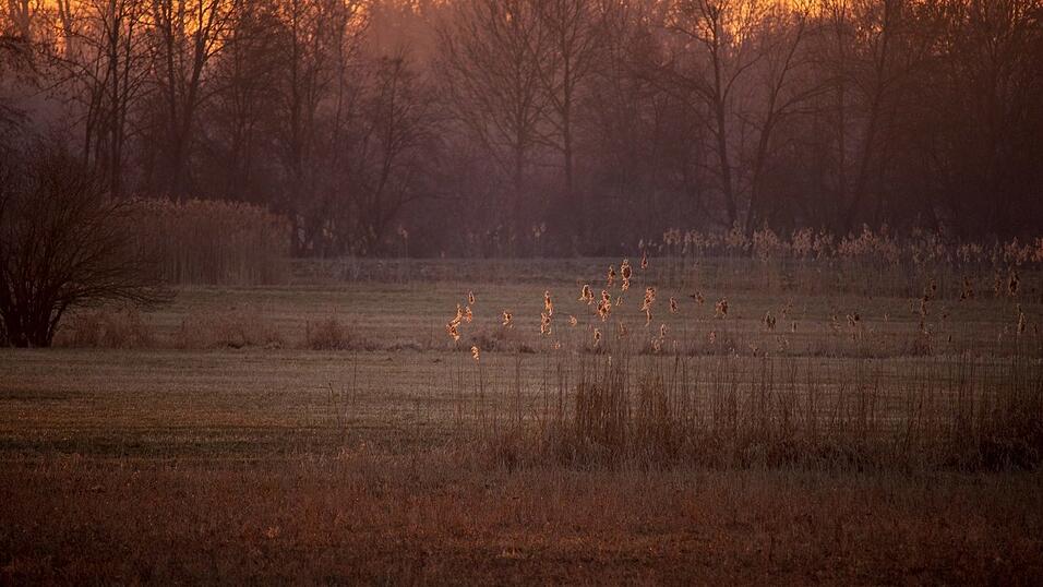 Der Frühling in Straubing im Abendrot.