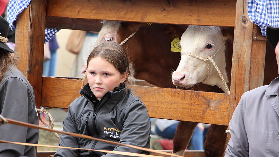 Impressionen vom 34. Bad K&ouml;tztinger Rosstag