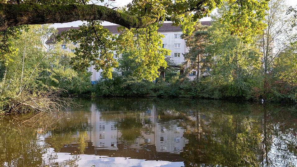 Der See hatte am Samstag viel Schaum auf dem Wasser, Fische verendeten. Der See hatte am Samstag viel Schaum auf dem Wasser, Fische verendeten.