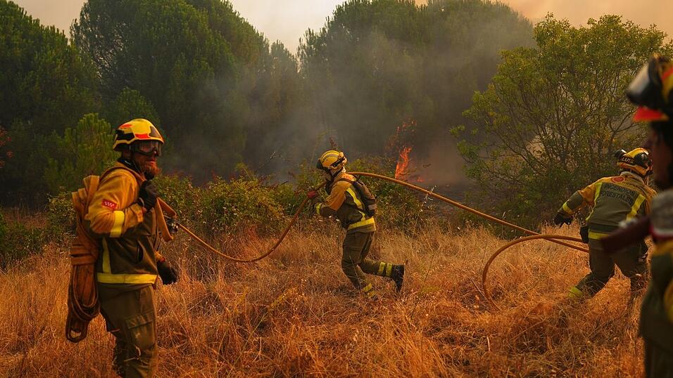 Der Waldbrand in Ávila gilt bereits als der größte der jüngeren Geschichte Spaniens. Der Waldbrand in Ávila gilt bereits als der größte der jüngeren Geschichte Spaniens.