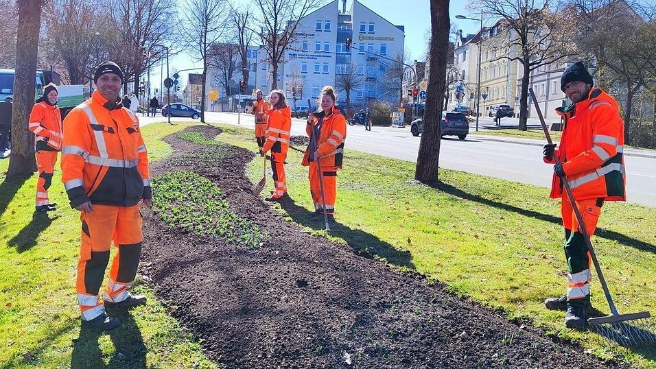 Christian Speckner (2.v.l.) und das Team der Stadtgärtnerei beim Anpflanzen am Kinseherberg. Die kommenden Tage und Wochen werden für sie arbeitsintensiv werden. Christian Speckner (2.v.l.) und das Team der Stadtgärtnerei beim Anpflanzen am Kinseherberg. Die kommenden Tage und Wochen werden für sie arbeitsintensiv werden.