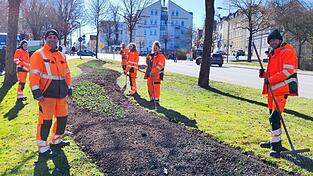 Christian Speckner (2.v.l.) und das Team der Stadtgärtnerei beim Anpflanzen am Kinseherberg. Die kommenden Tage und Wochen werden für sie arbeitsintensiv werden. Christian Speckner (2.v.l.) und das Team der Stadtgärtnerei beim Anpflanzen am Kinseherberg. Die kommenden Tage und Wochen werden für sie arbeitsintensiv werden.