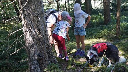 Nach dem Auffinden der Kinder erhielt der Suchhund bei der Schnüffeltour sein Leckerli. Nach dem Auffinden der Kinder erhielt der Suchhund bei der Schnüffeltour sein Leckerli.