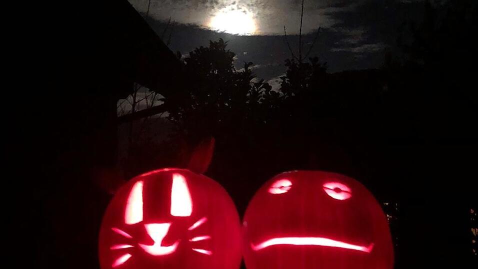 Halloween-Kürbisse gehören zur Grusel-Deko natürlich einfach dazu.