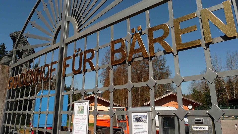 Auf diesem Gnadenhof für Bären im niederbayerischen Bad Füssing ist Deutschlands einstiger letzter Zirkusbär 'Ben' seit einem Jahr untergebracht.