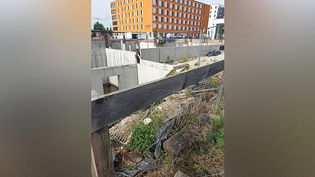 Die Stockente (auf dem Bild unten links) ist schwer zu erkennen. Sie brütet auf einem Stück Plastikfolie, das sie mit Federn ausgepolstert hat. Die Stockente (auf dem Bild unten links) ist schwer zu erkennen. Sie brütet auf einem Stück Plastikfolie, das sie mit Federn ausgepolstert hat.