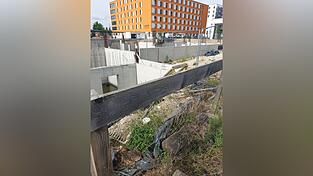 Die Stockente (auf dem Bild unten links) ist schwer zu erkennen. Sie br&uuml;tet auf einem St&uuml;ck Plastikfolie, das sie mit Federn ausgepolstert hat.