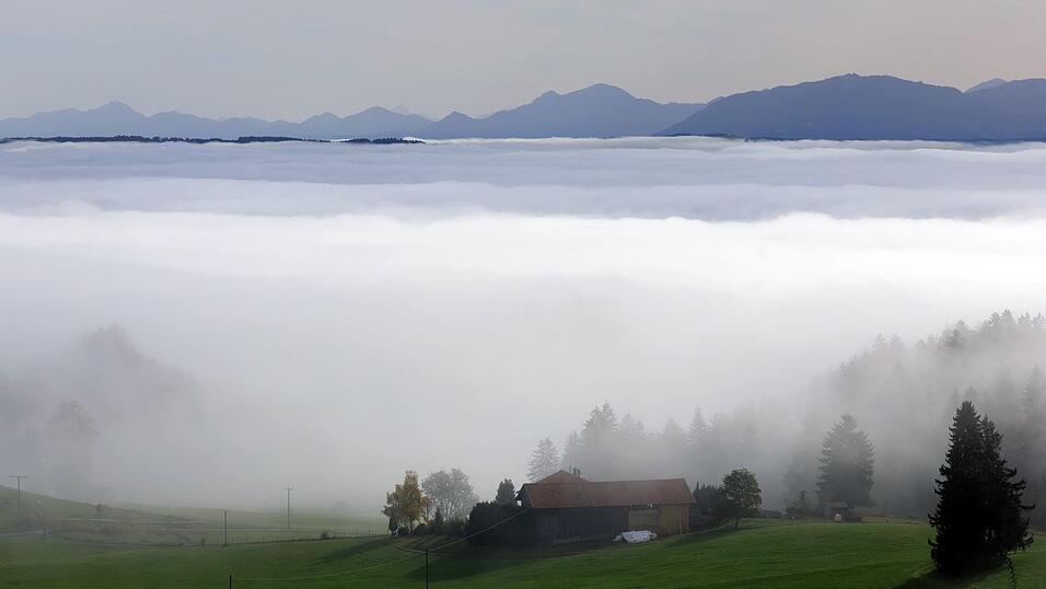 Am Wochenende ist mit viel Nebel im Freistaat zu rechnen. (Symbolbild) Am Wochenende ist mit viel Nebel im Freistaat zu rechnen. (Symbolbild)
