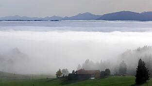 Am Wochenende ist mit viel Nebel im Freistaat zu rechnen. (Symbolbild) Am Wochenende ist mit viel Nebel im Freistaat zu rechnen. (Symbolbild)