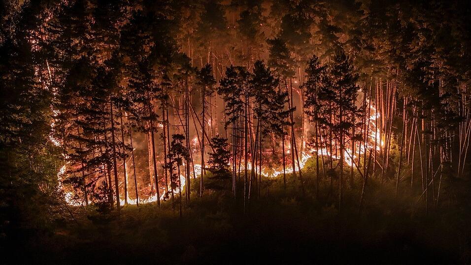 Durch die Trockenheit der vergangenen Wochen ist der Wald extrem d&uuml;rr.