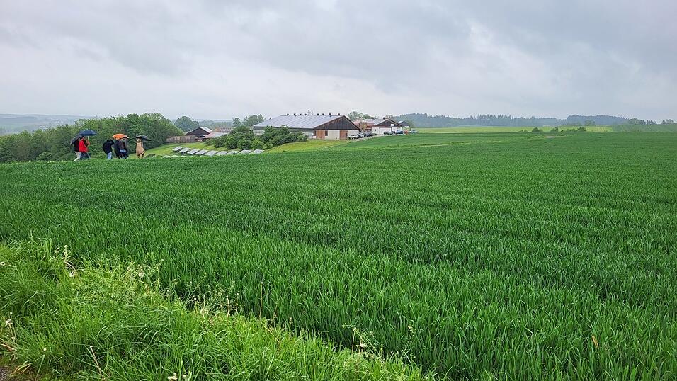 Wo aktuell nur Gras zu sehen ist, könnte in wenigen Monaten bereits eine Solaranlage stehen. Der Boden würde durch die Module keinen Schaden nehmen. Wo aktuell nur Gras zu sehen ist, könnte in wenigen Monaten bereits eine Solaranlage stehen. Der Boden würde durch die Module keinen Schaden nehmen.