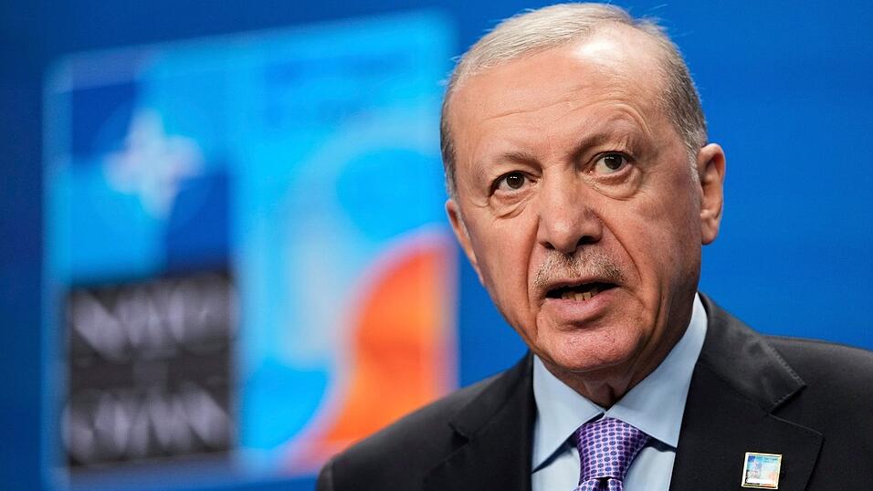 Menschenrechtsorganisationen kritisieren das Vorgehen des t&uuml;rkischen Pr&auml;sidenten Recep Tayyip Erdogan gegen die Opposition - den Nato-Gipfel darf er dennoch ausrichten. (Archivbild)