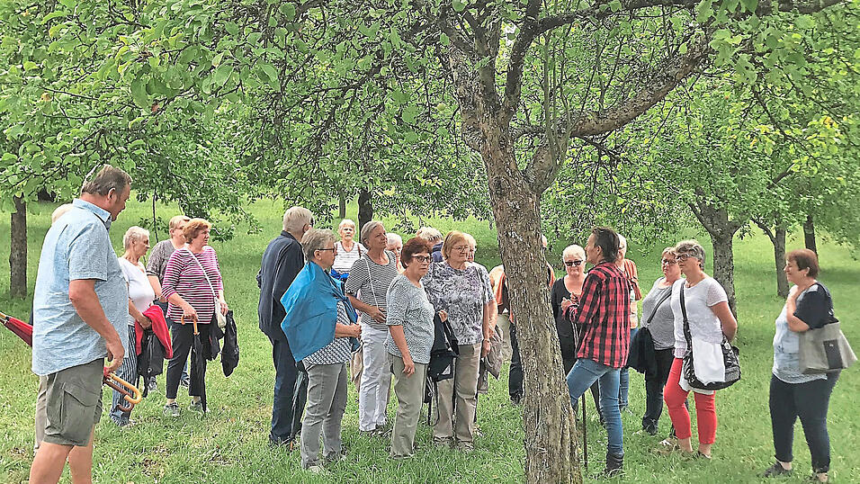 Luise Naderer brachte den Ausfl&uuml;glern die Geheimnisse rund um den Apfel n&auml;her.