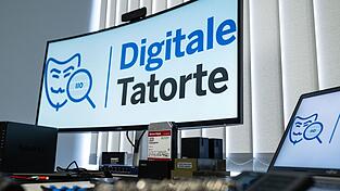 Die Anbahnung l&auml;uft teilweise &uuml;ber Betrugswerbung auf Social Media. (Symbolbild)