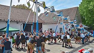 Mit vereinten Kr&auml;ften ging es h&ouml;her und h&ouml;her, so dass vor mehr als 700 Zuschauern der Maibaum an seinen angestammten Platz zur&uuml;ckkehrte.