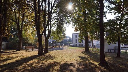 Der Jahngarten in Vilsbiburg erstreckt sich entlang des Jahnwegs. Bisher gibt es dort einen Spielplatz, ein paar Sitzb&auml;nke und viele B&auml;ume. Jetzt soll das Areal weiterentwickelt werden. Einige Ideen dazu liegen bereits vor. Man k&ouml;nnte zum Beispiel Sportger&auml;te aufstellen, ein gr&uuml;nes Klassenzimmer einrichten und einen Platz schaffen, an dem sich die Leute treffen.