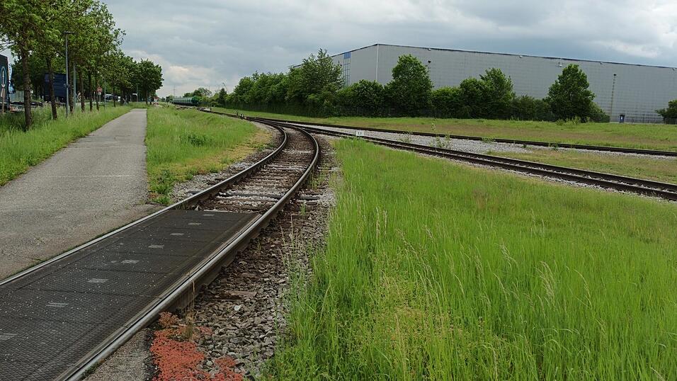 Zu wenig Aufstellmöglichkeiten, zu geringe Radien und zu umständlich für Kunden: Die Gleis-Infrastruktur im Hafen Straubing-Sand wird mit Um- und Neubaumaßnahmen für 4,1 Millionen Euro verbessert. Zu wenig Aufstellmöglichkeiten, zu geringe Radien und zu umständlich für Kunden: Die Gleis-Infrastruktur im Hafen Straubing-Sand wird mit Um- und Neubaumaßnahmen für 4,1 Millionen Euro verbessert.