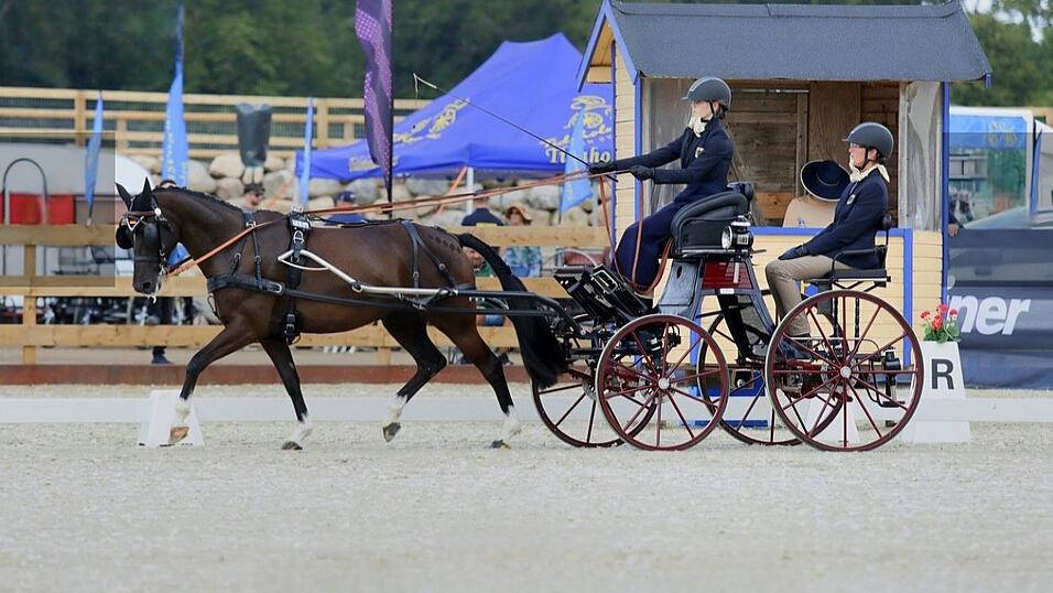 Sophia Ihnen in der Dressur mit Ihrem Pony 'Reitland's Feenzauber' und ihrer Mutter Linda Ihnen als Beifahrerin. Sophia Ihnen in der Dressur mit Ihrem Pony 'Reitland's Feenzauber' und ihrer Mutter Linda Ihnen als Beifahrerin.