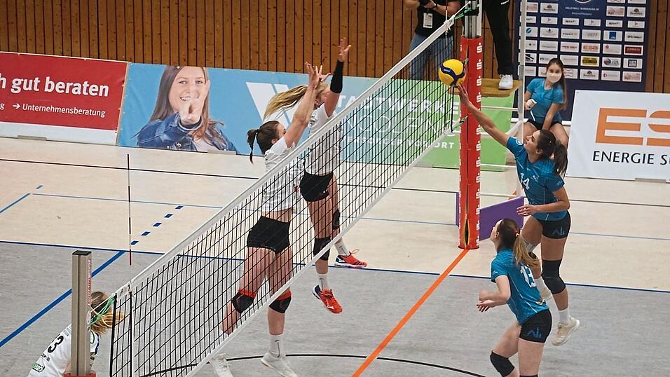 In der Zweiten Volleyball-Bundesliga Süd der Frauen treten auch vier Nachwuchsteams an (in weiß: VCO Dresden). In der Zweiten Volleyball-Bundesliga Süd der Frauen treten auch vier Nachwuchsteams an (in weiß: VCO Dresden).