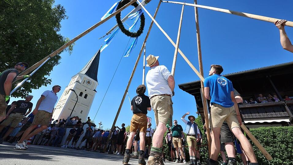 Um einen neuen Maibaum aufzustellen, nutzen die M&auml;nner gekreuzte Stangen. (Archivbild)