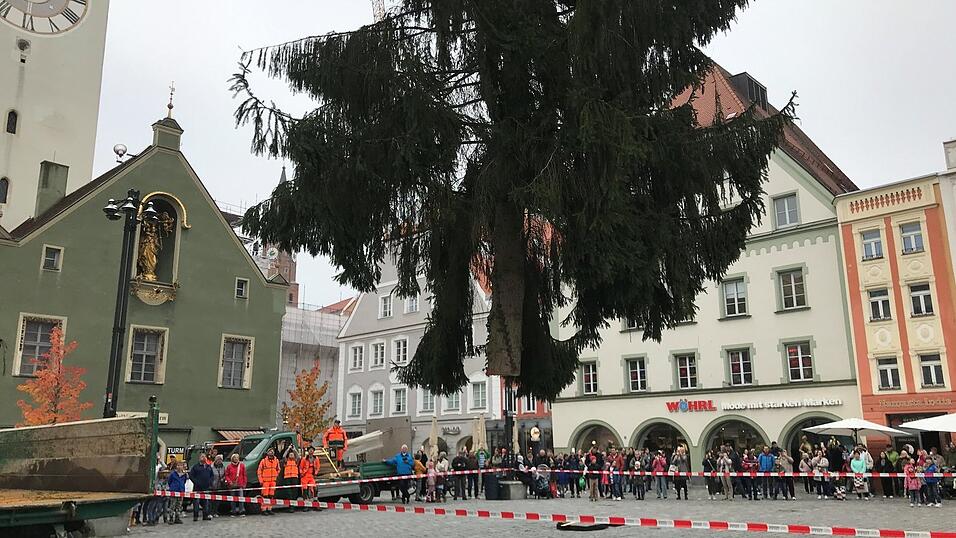 Viele Zuschauer wollten live dabei sein, als Mitarbeiter der Stadtgärtnerei den Christbaum auf dem Ludwigsplatz aufstellten. Viele Zuschauer wollten live dabei sein, als Mitarbeiter der Stadtgärtnerei den Christbaum auf dem Ludwigsplatz aufstellten.