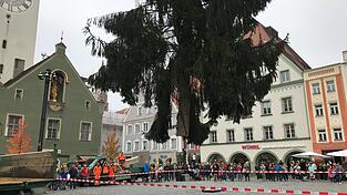 Viele Zuschauer wollten live dabei sein, als Mitarbeiter der Stadtgärtnerei den Christbaum auf dem Ludwigsplatz aufstellten. Viele Zuschauer wollten live dabei sein, als Mitarbeiter der Stadtgärtnerei den Christbaum auf dem Ludwigsplatz aufstellten.
