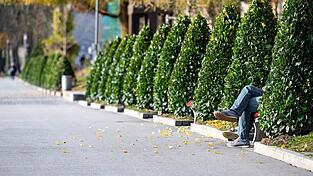 In Bayern soll es in den kommenden Tagen sonnig und mild werden.