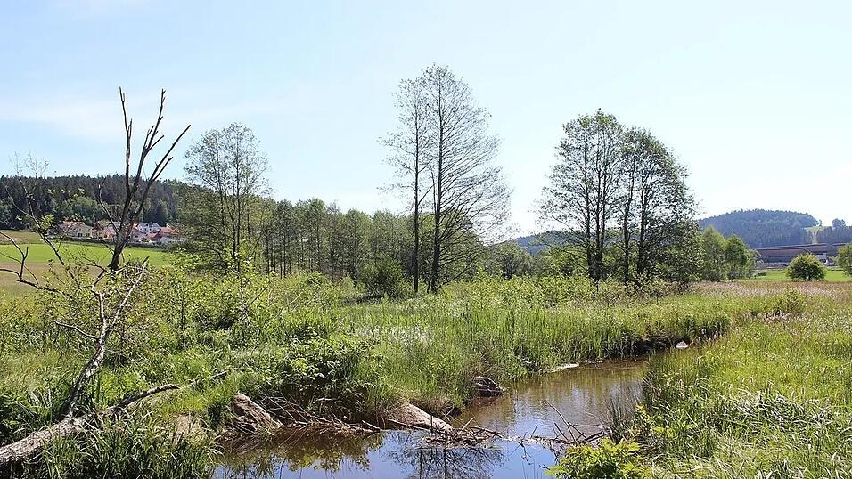 Renaturierter Wolfertsrieder Bach: hier lebt die Flussperlmuschel Renaturierter Wolfertsrieder Bach: hier lebt die Flussperlmuschel