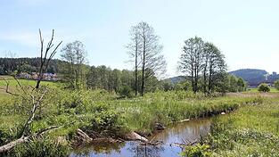 Renaturierter Wolfertsrieder Bach: hier lebt die Flussperlmuschel Renaturierter Wolfertsrieder Bach: hier lebt die Flussperlmuschel