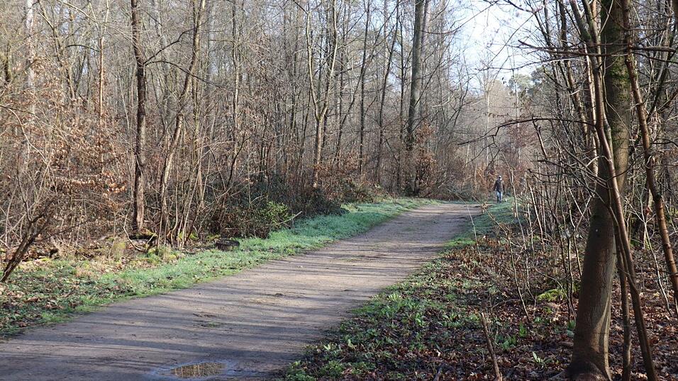 Die Ermittler haben erste Details nach dem Fund einer toten Frau in einem Wald bei Mannheim bekanntgegeben.