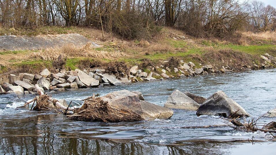 Die Natur zum Frühlingsanfang in Straubing - eine Fototour.